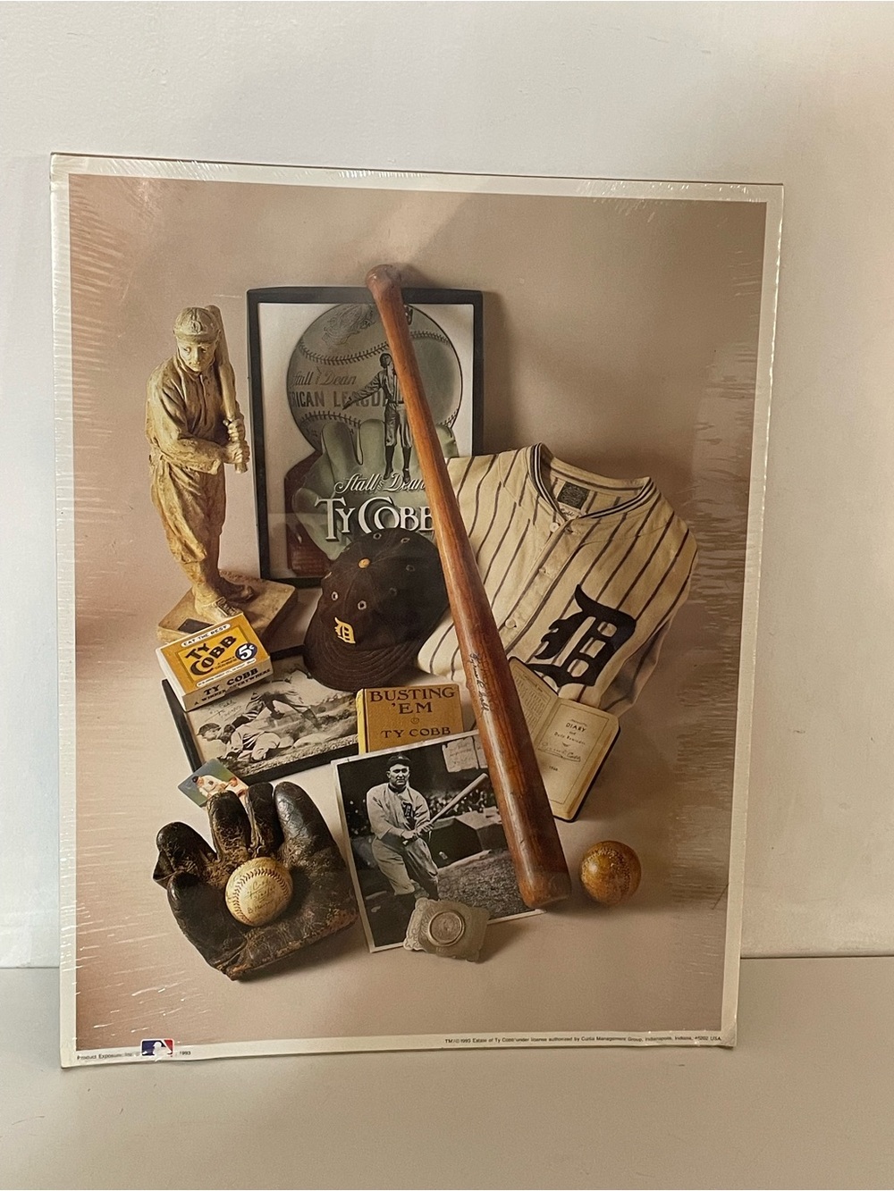 Henry Groskinsky Detroit Tigers Wall Art